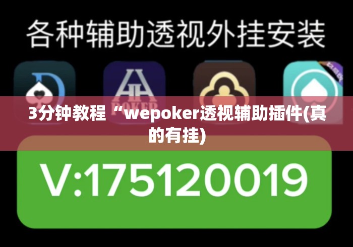 3分钟教程“wepoker透视辅助插件(真的有挂)