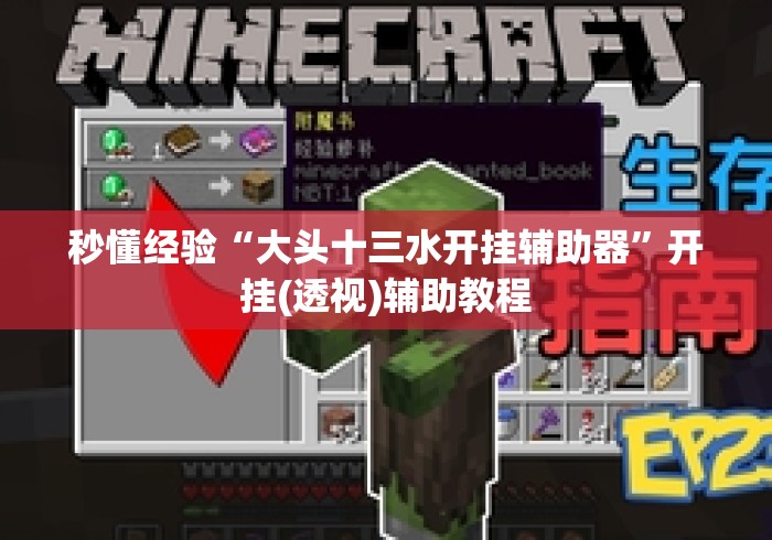 秒懂经验“大头十三水开挂辅助器”开挂(透视)辅助教程