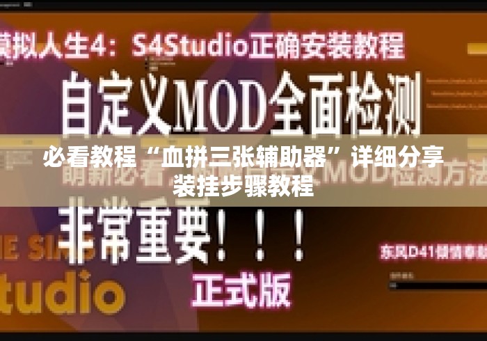 必看教程“血拼三张辅助器	”详细分享装挂步骤教程
