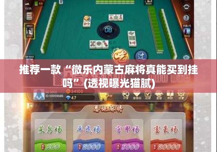 推荐一款“微乐内蒙古麻将真能买到挂吗”(透视曝光猫腻)