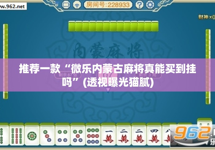 推荐一款“微乐内蒙古麻将真能买到挂吗”(透视曝光猫腻)