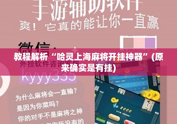 教程解析“哈灵上海麻将开挂神器”(原来确实是有挂)