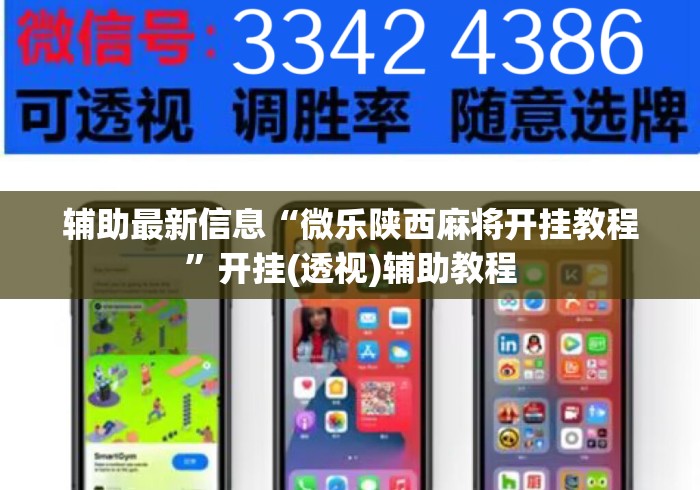 辅助最新信息“微乐陕西麻将开挂教程”开挂(透视)辅助教程