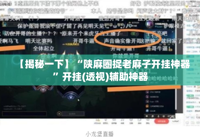 【揭秘一下】“陕麻圈捉老麻子开挂神器”开挂(透视)辅助神器