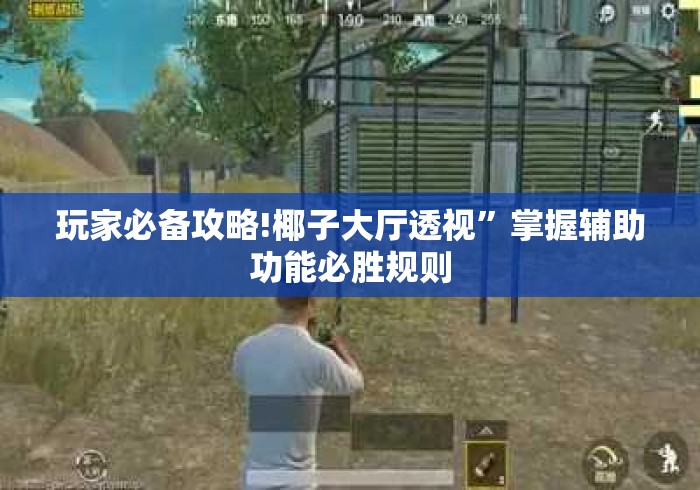 玩家必备攻略!椰子大厅透视”掌握辅助功能必胜规则