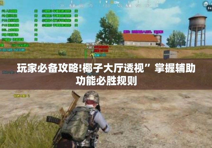 玩家必备攻略!椰子大厅透视	”掌握辅助功能必胜规则