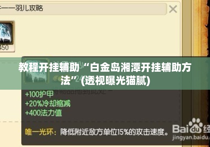 教程开挂辅助“白金岛湘潭开挂辅助方法”(透视曝光猫腻)
