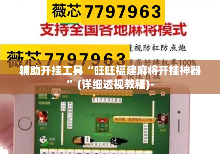 辅助开挂工具“旺旺福建麻将开挂神器”(详细透视教程)-