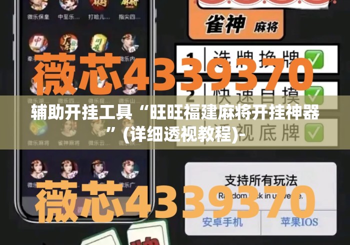 辅助开挂工具“旺旺福建麻将开挂神器	”(详细透视教程)-