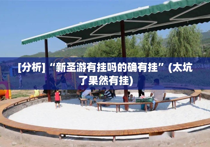 [分析]“新圣游有挂吗的确有挂”(太坑了果然有挂)