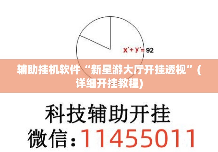 辅助挂机软件“新星游大厅开挂透视”(详细开挂教程)