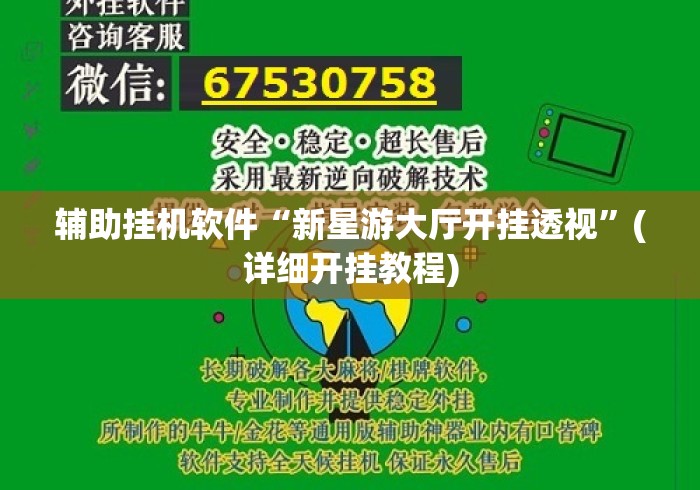 辅助挂机软件“新星游大厅开挂透视	”(详细开挂教程)