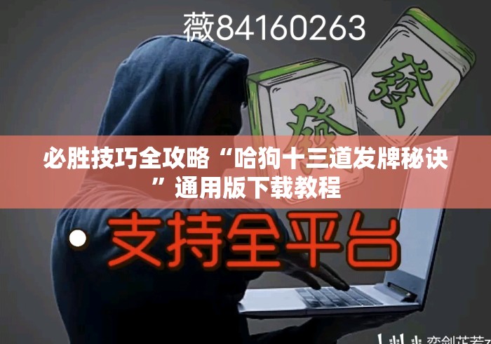 必胜技巧全攻略“哈狗十三道发牌秘诀”通用版下载教程