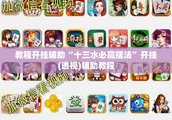 教程开挂辅助“十三水必赢摆法”开挂(透视)辅助教程