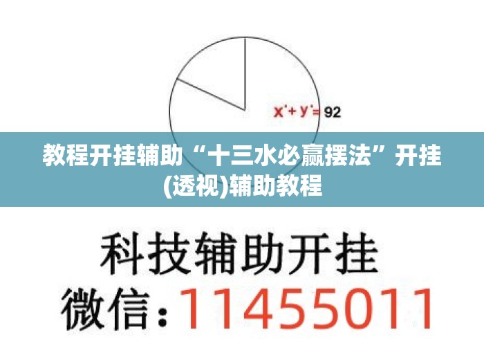 教程开挂辅助“十三水必赢摆法	”开挂(透视)辅助教程