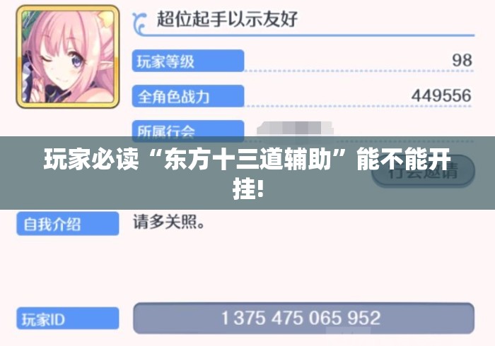 玩家必读“东方十三道辅助”能不能开挂!