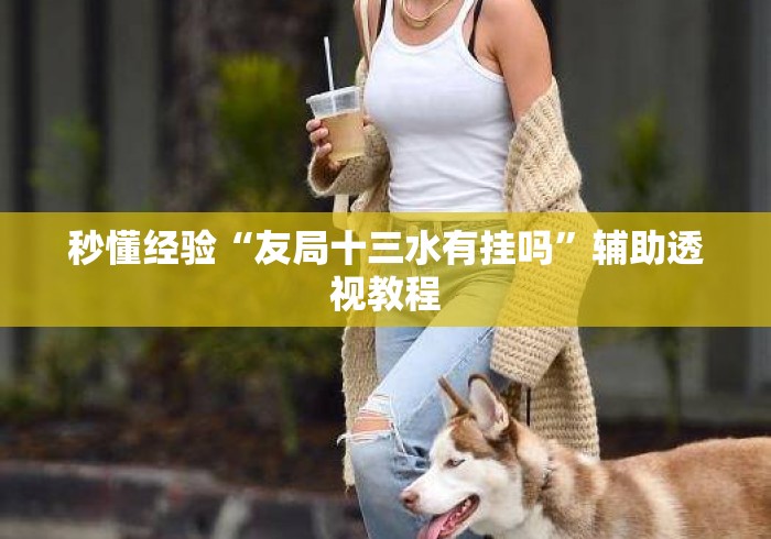 秒懂经验“友局十三水有挂吗”辅助透视教程