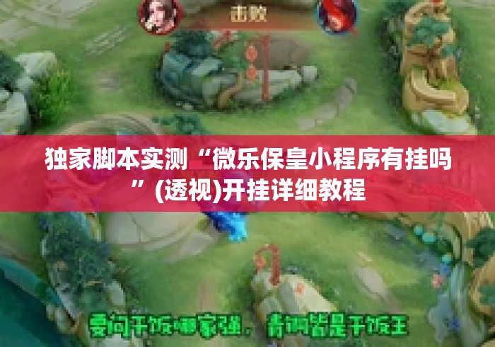 独家脚本实测“微乐保皇小程序有挂吗”(透视)开挂详细教程
