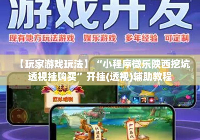 【玩家游戏玩法】“小程序微乐陕西挖坑透视挂购买”开挂(透视)辅助教程