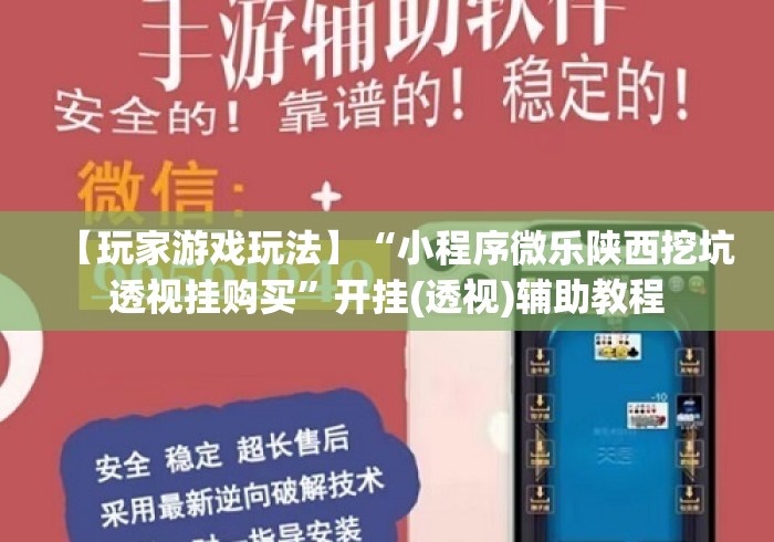 【玩家游戏玩法】“小程序微乐陕西挖坑透视挂购买”开挂(透视)辅助教程