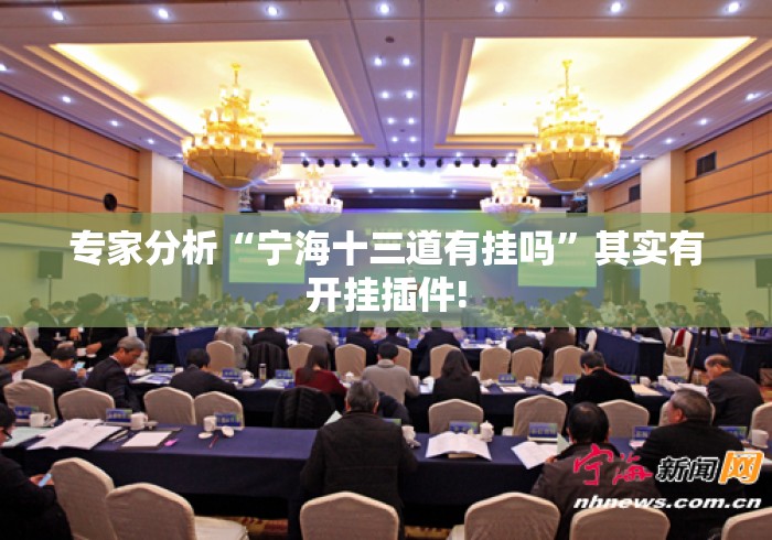 专家分析“宁海十三道有挂吗”其实有开挂插件!