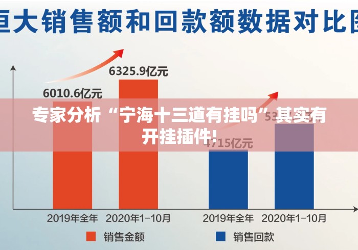 专家分析“宁海十三道有挂吗”其实有开挂插件!