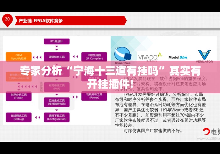 专家分析“宁海十三道有挂吗”其实有开挂插件!