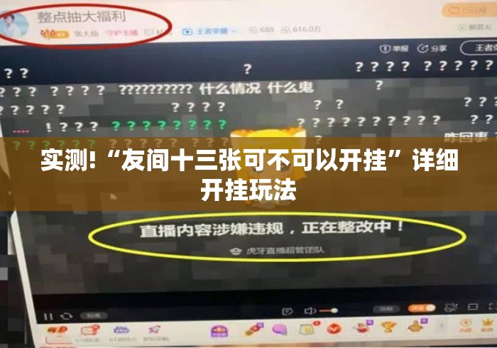 实测!“友间十三张可不可以开挂	”详细开挂玩法