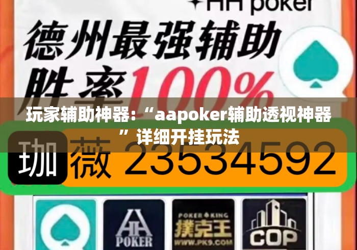 玩家辅助神器:“aapoker辅助透视神器”详细开挂玩法