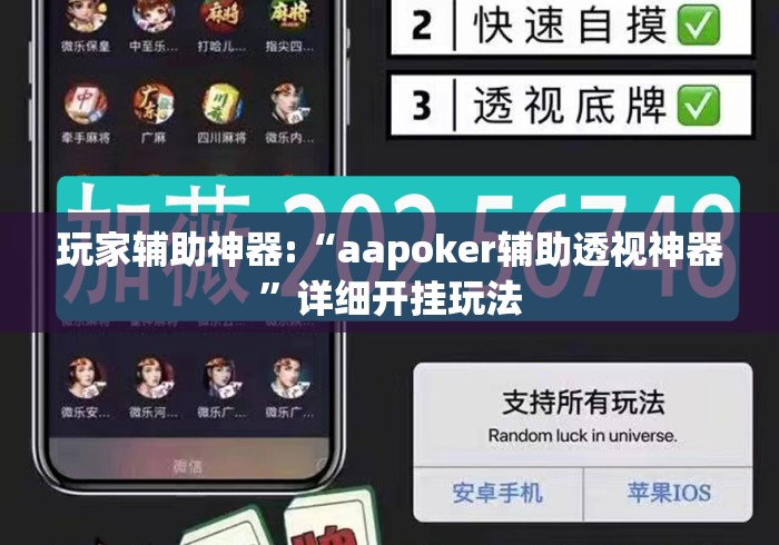 玩家辅助神器:“aapoker辅助透视神器”详细开挂玩法