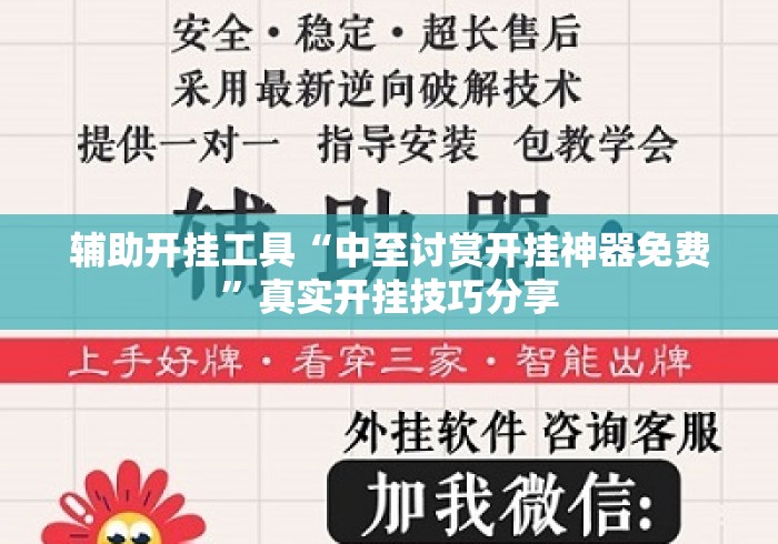 辅助开挂工具“中至讨赏开挂神器免费”真实开挂技巧分享