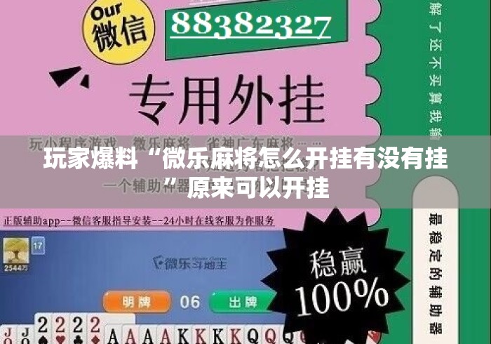 玩家爆料“微乐麻将怎么开挂有没有挂	”原来可以开挂