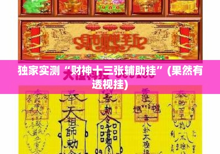 独家实测“财神十三张辅助挂	”(果然有透视挂)