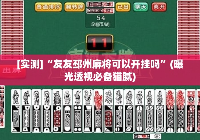 [实测]“友友邳州麻将可以开挂吗”(曝光透视必备猫腻)
