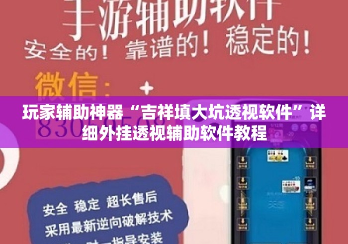 玩家辅助神器“吉祥填大坑透视软件”详细外挂透视辅助软件教程