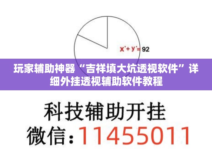 玩家辅助神器“吉祥填大坑透视软件”详细外挂透视辅助软件教程