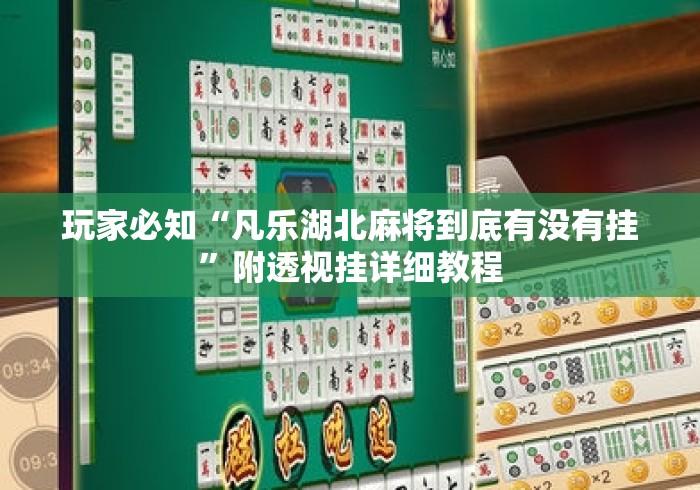玩家必知“凡乐湖北麻将到底有没有挂”附透视挂详细教程