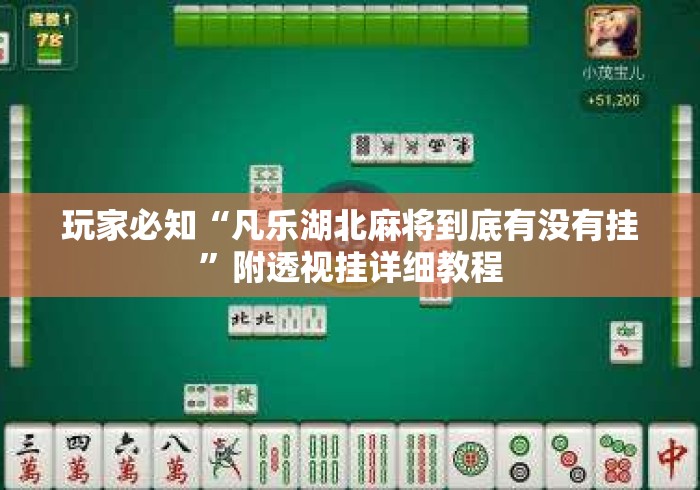 玩家必知“凡乐湖北麻将到底有没有挂	”附透视挂详细教程