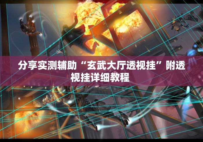 分享实测辅助“玄武大厅透视挂”附透视挂详细教程 