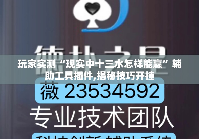 玩家实测“现实中十三水怎样能赢”辅助工具插件,揭秘技巧开挂