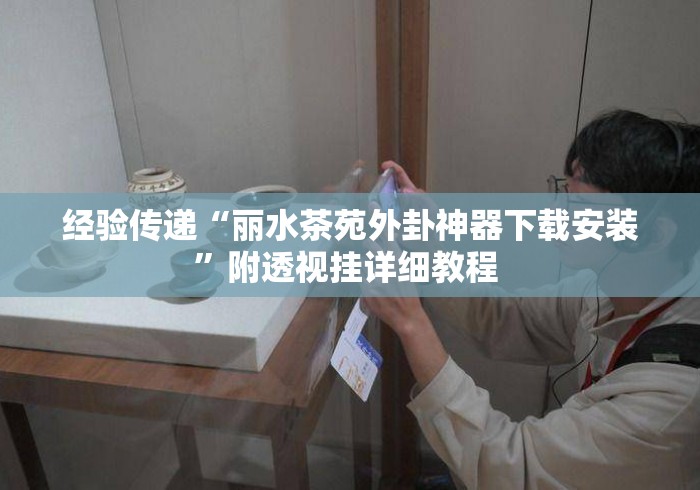 经验传递“丽水茶苑外卦神器下载安装”附透视挂详细教程 