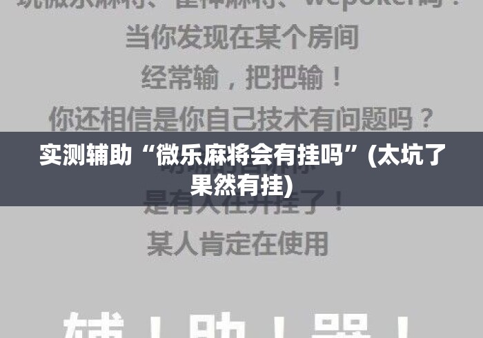 实测辅助“微乐麻将会有挂吗”(太坑了果然有挂)