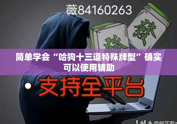 简单学会“哈狗十三道特殊牌型	”确实可以使用辅助