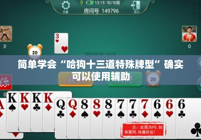 简单学会“哈狗十三道特殊牌型”确实可以使用辅助