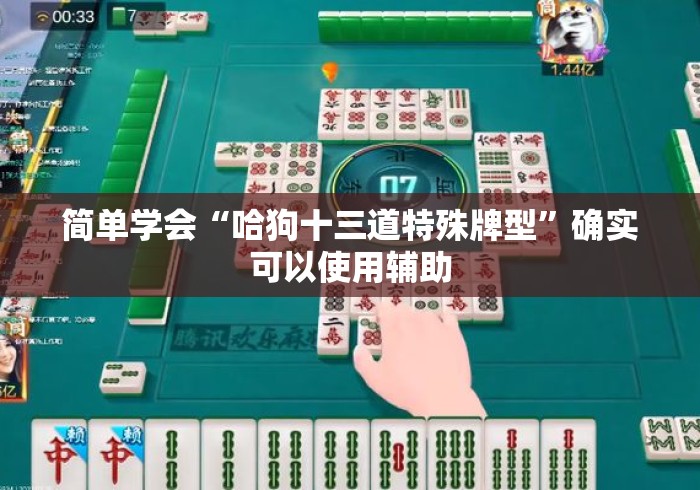 简单学会“哈狗十三道特殊牌型	”确实可以使用辅助