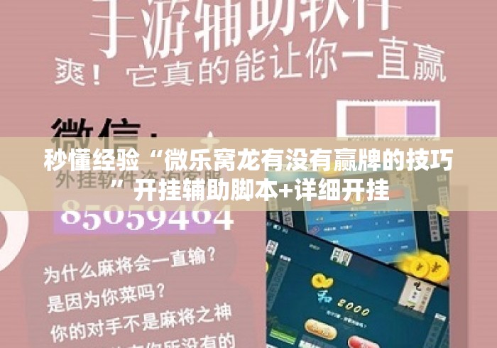 秒懂经验“微乐窝龙有没有赢牌的技巧”开挂辅助脚本+详细开挂