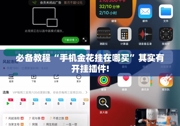 必备教程“手机金花挂在哪买”其实有开挂插件!
