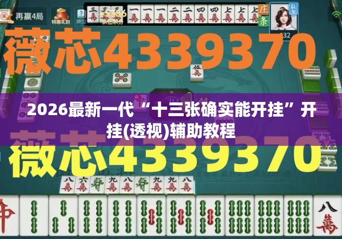 2026最新一代“十三张确实能开挂	”开挂(透视)辅助教程