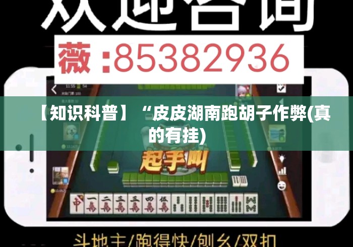 【知识科普】“皮皮湖南跑胡子作弊(真的有挂)