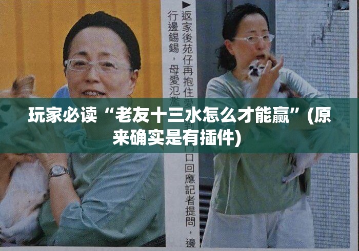玩家必读“老友十三水怎么才能赢	”(原来确实是有插件) 